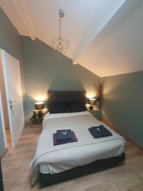 Chambre cosy avec sdb privative